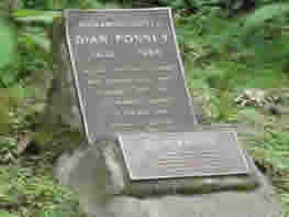 Dian Fossey Grave