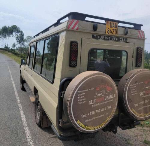 Landcruiser 7 seater 